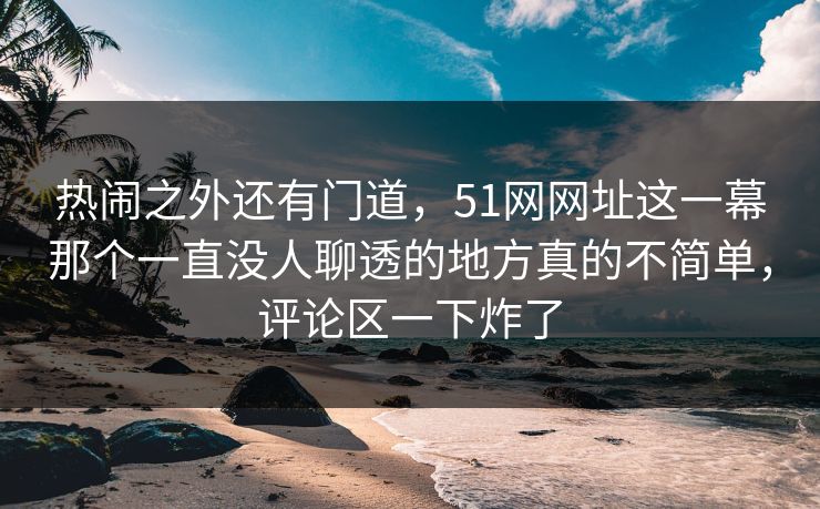 热闹之外还有门道，51网网址这一幕那个一直没人聊透的地方真的不简单，评论区一下炸了
