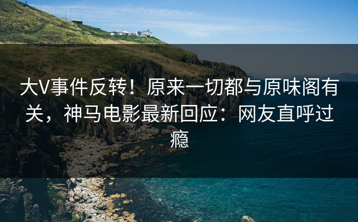 大V事件反转！原来一切都与原味阁有关，神马电影最新回应：网友直呼过瘾