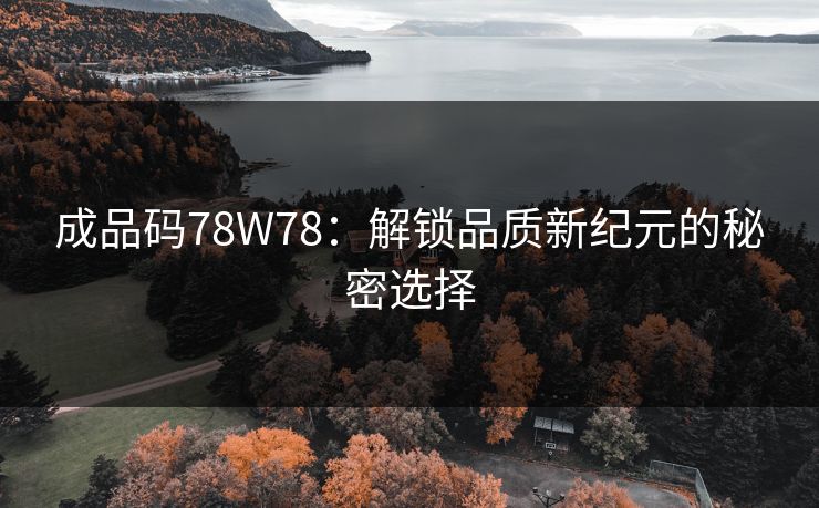 成品码78W78：解锁品质新纪元的秘密选择